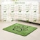 Qeils Reusable Dog Pee Pads 2 Pack Super Absorbent Leakproof Washable Puppy Pads with Soft Green Top Layer for Potty Training Crates Couch Car Seats Pet Beds 24x 36