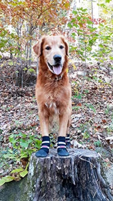 Bark Brite All Weather Neoprene Paw Protector Dog Boots with Reflective Straps in 5 Sizes Black Large