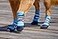 Bark Brite Lightweight Neoprene Paw Protector Dog Boots Designed for Comfort and Breathability in 5 Sizes Blue Md