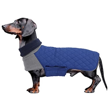 Geyecete Dachshund CoatDachshund Winter CoatWarm Waterproof Windproof High Neckine String Holes Miniature Dachshund Jacket for Small DogBlueM