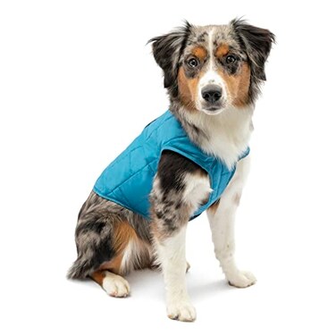 Kurgo Loft Dog Jacket Reversible Cozy Coat for Outdoor Adventures Water Resistant Athletic Fit Machine Washable Fabric Reflective Dog Gear Small Coastal Blue
