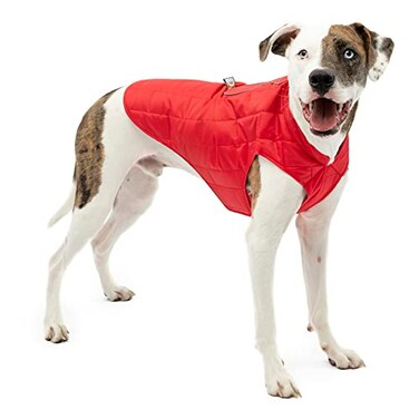 Kurgo Loft Dog Jacket Reversible Cozy Coat for Outdoor Adventures Water Resistant Athletic Fit Machine Washable Fabric Reflective Dog Gear Large Chili Red