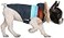 HDE Dog Puffer Jacket Fleece Lined Warm Dog Parka Winter Coat with Harness Hole Navy Retro Stripe S