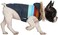 HDE Dog Puffer Jacket Fleece Lined Warm Dog Parka Winter Coat with Harness Hole Navy Retro Stripe S