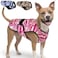 LUCOLOVE Dog Cooling Vest 2Layer Cooling with Soft Microfiber Fabric Lightweight Adjustable and Comfortable UV Protection for Small to Large Dogs Relief in Hot Weather Pink Large