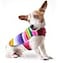 Baja Ponchos Dog Clothes Handmade Dog Poncho from Authentic Mexican Blanket by Pink Small