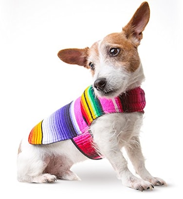 Baja Ponchos Dog Clothes Handmade Dog Poncho from Authentic Mexican Blanket by Pink Small