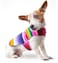 Baja Ponchos Dog Clothes Handmade Dog Poncho from Authentic Mexican Blanket by Pink Small