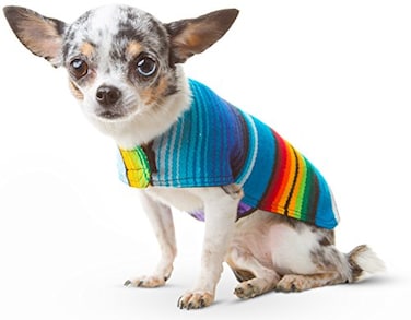 Baja Ponchos Dog Clothes Handmade Dog Poncho from Authentic Mexican Blanket Blue XXS