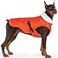 EMUST Dog Coat Winter Waterproof Pet Snow Jacket for Winter Adjustable SmallMediumLarge Dog Coat Orange L