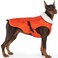 EMUST Dog Coat Winter Waterproof Pet Snow Jacket for Winter Adjustable SmallMediumLarge Dog Coat Orange L