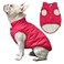 JoyDaog 2 Layers Fleece Lined Warm Dog Jacket for Winter Cold WeatherSoft Windproof Medium Dog CoatPink L