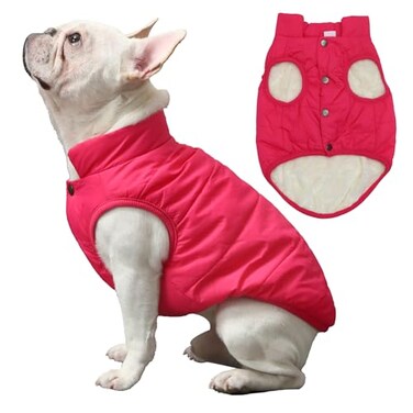 JoyDaog 2 Layers Fleece Lined Warm Dog Jacket for Winter Cold WeatherSoft Windproof Medium Dog CoatPink L