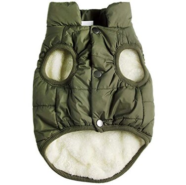 JoyDaog Fleece Lined Warm Dog Jacket for Winter Cold WeatherSoft Windproof Medium Dog CoatGreen XL