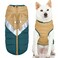 Gooby Mountaineer Dog Jacket Sand Medium Warm Zip Up Coat with Lift Handle and Dual O Ring Leash Water Resistant for Small to Medium Dogs