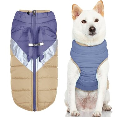 Gooby Mountaineer Dog Jacket Quantum Blue XSmall Warm Zip Up Coat with Lift Handle and Dual O Ring Leash Water Resistant for Small to Medium Dogs