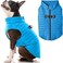 Gooby Puffer Vest Dog Jacket Blue Medium Ultra Thin Zip Up Wind Breaker with Dual D Ring Leash Water Resistant for Small to Medium Dogs