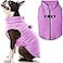 Gooby Puffer Vest Dog Jacket Purple Large Ultra Thin Wind Breaker with Dual D Ring Leash Water Resistant Small Dog Sweater Coat