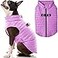 Gooby Puffer Vest Dog Jacket Purple Medium Ultra Thin Windbreaker with Dual D Ring Leash Water Resistant Small Dog Sweater Coat
