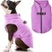 Gooby Puffer Vest Dog Jacket Purple Medium Ultra Thin Windbreaker with Dual D Ring Leash Water Resistant Small Dog Sweater Coat