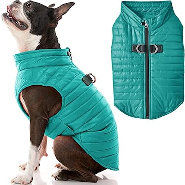 Gooby Puffer Vest Turquoise Medium Zip Up Windbreaker with D Ring Leash Water Resistant Dog Sweater Coat for Small Dogs
