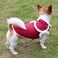 JoyDaog Shawl Design Fleece Lined Warm Dog Jacket for Puppy Winter Cold WeatherSoft Windproof Small Dog CoatRed S