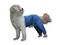 Mozzie Pants Walking Dog Pants ECollar Alternative Dog Pajamas Small Dog Blue