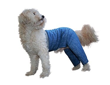 Mozzie Pants Walking Dog Pants ECollar Alternative Dog Pajamas Small Dog Blue