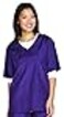 Top Performance VNeck Grooming Smocks Comfortable PullOver Nylon Tops for Professional Pet Groomers ExtraLarge Plum