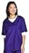Top Performance VNeck Grooming Smocks Comfortable PullOver Nylon Tops for Professional Pet Groomers Large Plum Purple