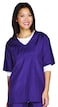 Top Performance VNeck Grooming Smocks Comfortable PullOver Nylon Tops for Professional Pet Groomers Large Plum Purple