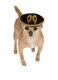 Rubies Pet Sombrero Medium to Large Gold and Black