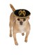 Rubies Pet Sombrero Medium to Large Gold and Black