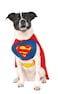 Rubies DC Comics Superheroes Superman Pet Costume for For Dogs or Cats by Small