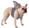 Rubies Shark Fin Pet Costume for Dogs or Cats ML