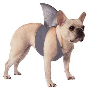 Rubies Shark Fin Pet Costume for Dogs or Cats ML
