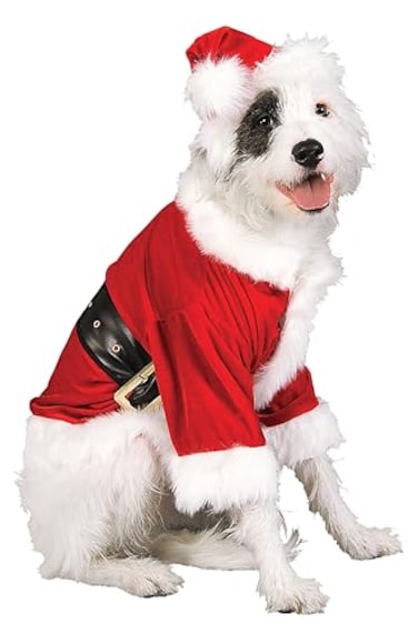 Rubies Santa Claus Pet Costume for Dogs or Cats Large
