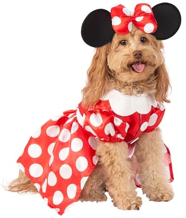 Rubies Disney Minnie Mouse Pet Costume for For Dogs or Cats by Small