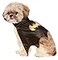 Rubies DC Comics Superheroes Batgirl Pet Cape for Dogs or Cats by Medium