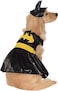 Rubies DC Comics Superheroes Batgirl Pet Costume for Dogs or Cats by Medium