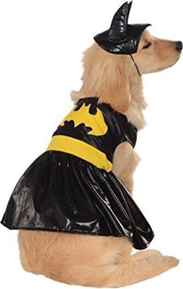 Rubies DC Comics Superheroes Batgirl Pet Costume for Dogs or Cats by Medium