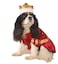 Rubies Kanine King Pet Costume for Dogs or Cats Small