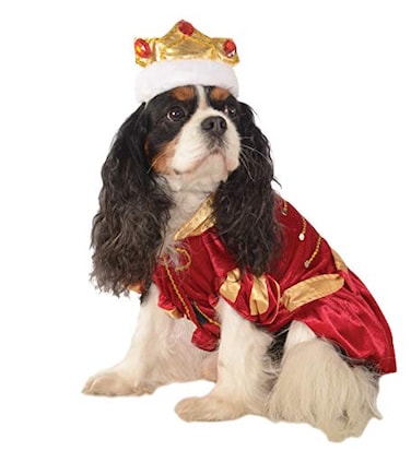 Rubies Kanine King Pet Costume for Dogs or Cats Small