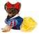 Rubies Disney Princesses Snow White Pet Costume for For Dogs or Cats by Small