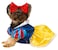 Rubies Disney Princesses Snow White Pet Costume for For Dogs or Cats by Small