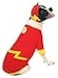 Rubies DC Comics Superheroes The Flash Pet Costume for For Dogs or Cats by XL