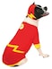 Rubies DC Comics Superheroes The Flash Pet Costume for For Dogs or Cats by XL