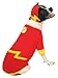 Rubies DC Comics Superheroes The Flash Pet Costume for For Dogs or Cats by Large