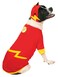 Rubies DC Comics Superheroes The Flash Pet Costume for For Dogs or Cats by Large