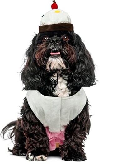 Rubies Cupcake Pet Costume for Dogs or Cats Small